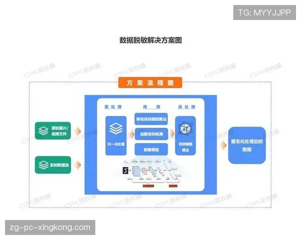 球员数据匿名化共享平台的技术方案发布，个人数据匿名化处理包括什么