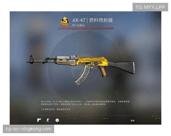 CS2皮肤改名卡趣闻：有人给自己的AWP起名叫“一枪送走”😂